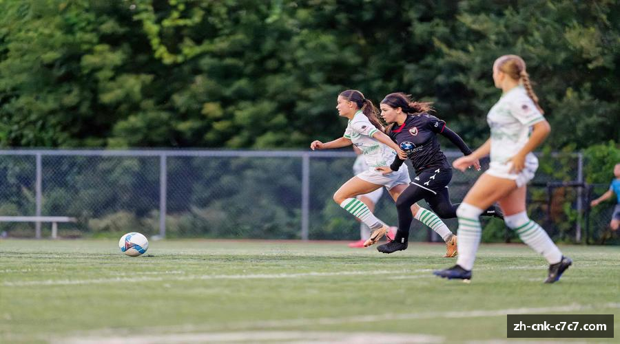 阐述c7娱乐首页